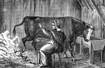 Great Chicago Fire: Mrs O'Leary and the cow