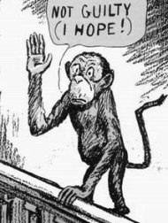 Monkey Trial Cartoon